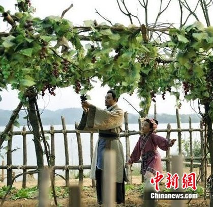 点图查看下一页