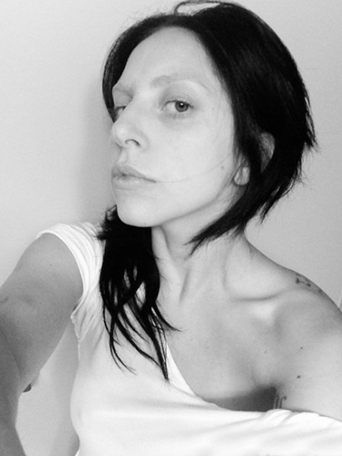 Gaga�����������ع�����ն�����ͼ��