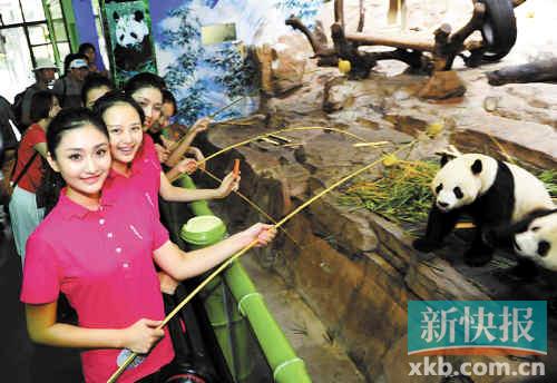 ���л�С�㡱�ڼ���ι��è���±��˷ܸߺ���Χ�ۣ�ͼ��