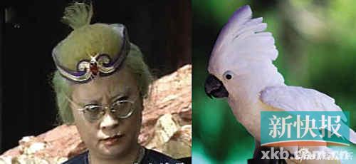 ladygaga顶白发亮相酷似小龙人鹦鹉婆婆图