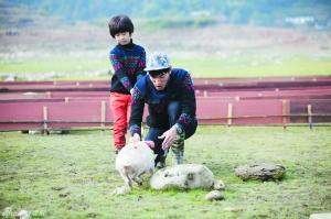 点图查看下一页