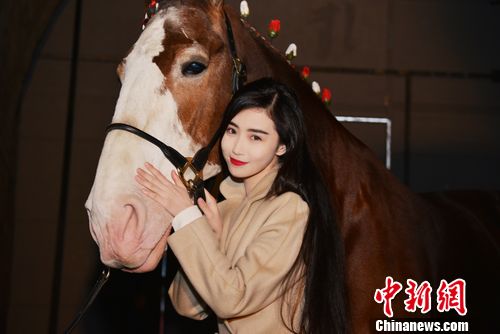 女星张辛苑长城脚下骑马嬉戏组图