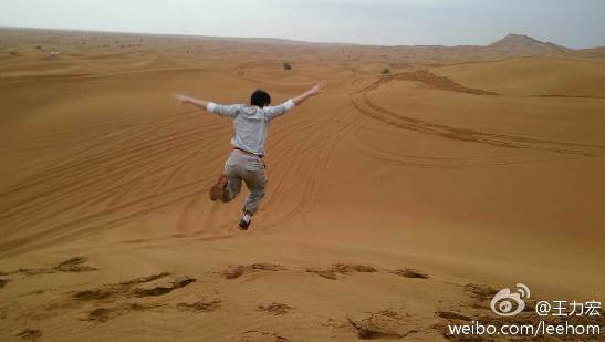 ������ɳĮȸԾ���������������㡱��ͼ��