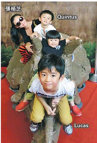 �Ű�֥�����ӲιۿƼ������ѣ�����ӵĺ�����