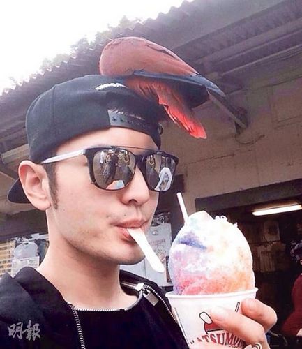 ������ɹ��ѩ����̫���۾���ӳ��Ů����Ӱ��ͼ��