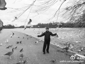 �������׶�ι�������ѣ�����ΰ��֪���𣿣�ͼ��