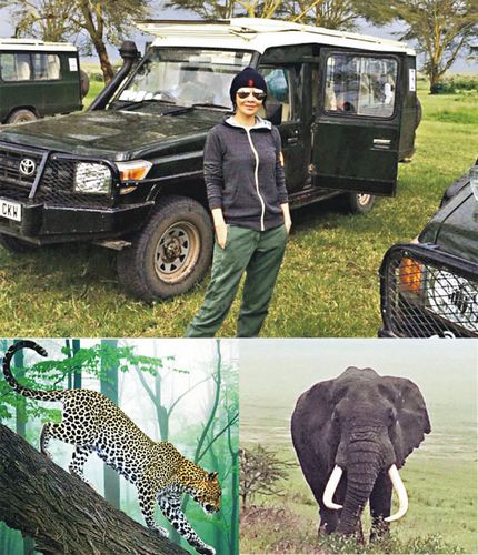刘嘉玲非洲游玩与狮子等近距离接触粉丝赞其勇敢