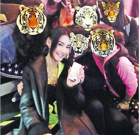 张柏芝“坐大腿”真相曝光粉丝传原图澄清(图)