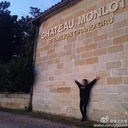 赵薇法国豪华酒庄曝光或将成霆锋王菲重逢地(图)