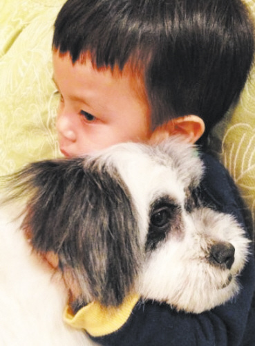 ��ٳ���ӱ����˹����ع�����������Ƶ˳���ͼ��