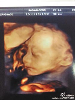 ������ɹŮ��̥���ճ��ǡ��������󡱣�ͼ��