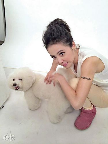 蔡依林晒为爱犬按摩照爱犬露“笑容”(图)