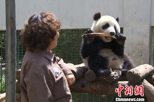 方青卓《私人订制》扮熊猫孙楠萧敬腾助力(组图)