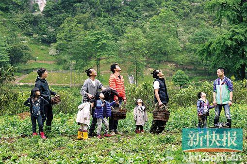 点图查看下一页