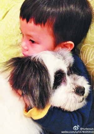 �˳��������˹��Գ���������׽���ͼ��