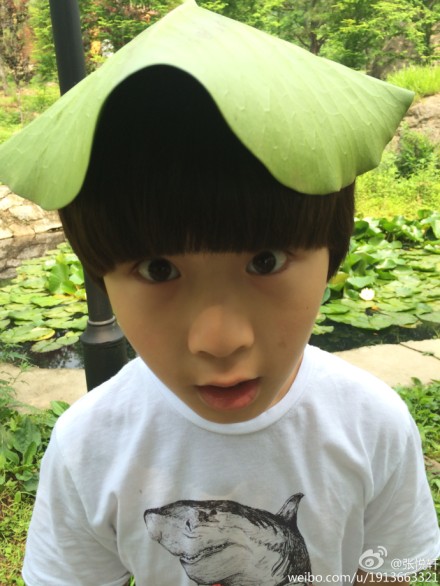 ������������ɹ�����ͷ����Ҷ�Գơ��硱��ͼ��