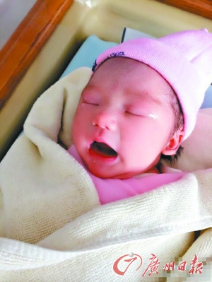 凤凰传奇主唱玲花生女丈夫系娱乐公司老总(图)