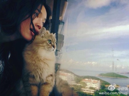 舒淇晒与爱猫合照感慨:感情像朵羞涩的花(图)