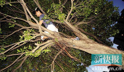 ��־ӱ��Kimi�ŷ��ݻ�1Сʱ������ժ���ݡ���ͼ��