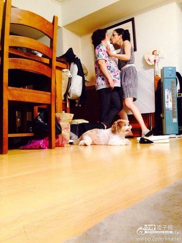 ��������ĸ�׼��С������ס���Ȯ�����䣨ͼ��