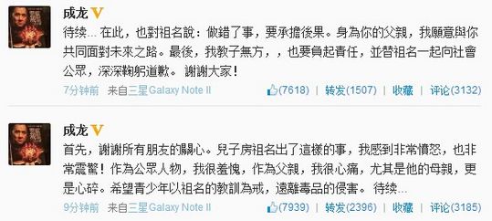 成龙:感到羞愧心痛教子无方向公众道歉(图)