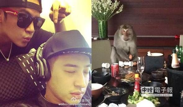 罗志祥度假遭猴打扰调侃:打破碗饭店叫你赔(图)