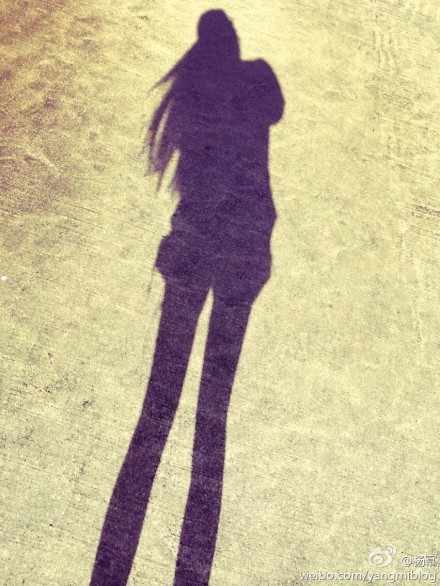 ����ɹ��������Ӱ�����Ժڡ������ȳ����ס���ͼ��