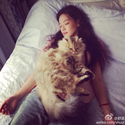 ����ɴ��ϱ�����Ϣ��è���������ϣ�ͼ��