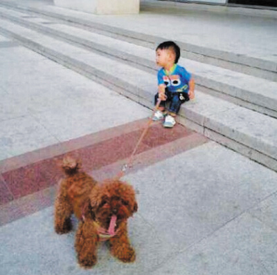 �˳���ɹ�����޹������ѵ�٩�������ޣ�ͼ��