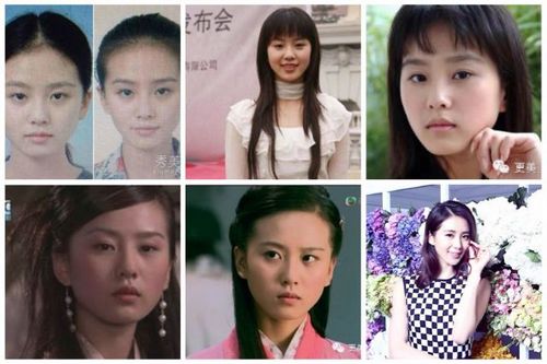 刘诗诗被疑曾整形粉丝晒偶像证件照澄清(图)