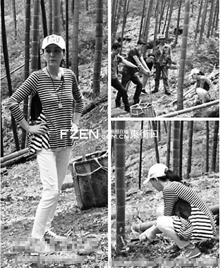 ��ѩ�̡���������������Ư��ʪ�������չ���ͼ��