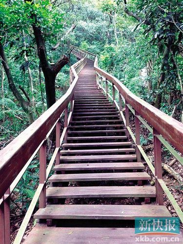 林依晨将与男友订婚发微博透露紧张心情(图)