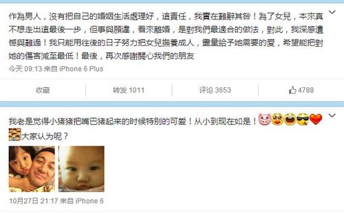 吴启华证实将离婚:是对我们最适合的做法(图)