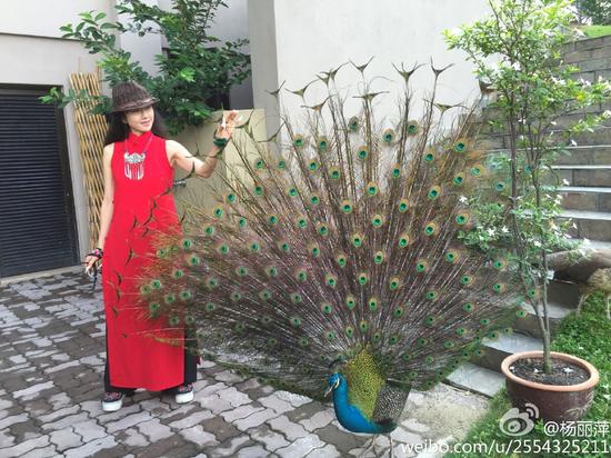 ����Ƽ����ȸ�������ѣ����������¾���ͼ��