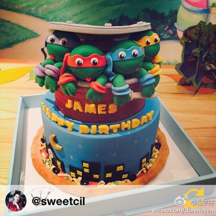 甄子丹为爱子庆生忍者神龟造型蛋糕抢镜图