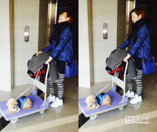 Selinaɹ���͡����Ƴ����̲�ס������Ц��ͼ��