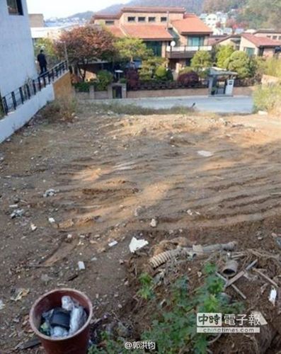 汤唯亏本卖地疑与丈夫将再找新地买豪宅(图)