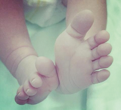 秦海璐生子暂未取名老公称将补办婚礼(图)