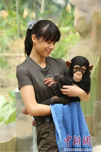 ���Ӷ��ɺ��½����������衱����������ͷ��ͼ��