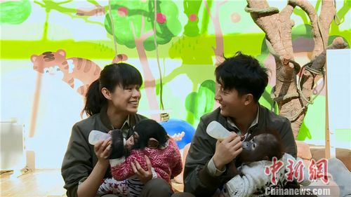 ����������ѡ�������ܰ�������Ӷ���������һ��