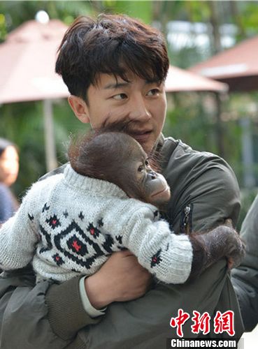 ����������ѡ�����ײ�������ɱ��Ȱ�ο����