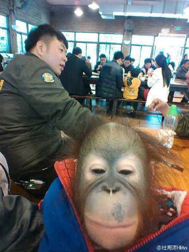 ���������Ķź����뾵���ѵ�٩�������˧��ͼ��