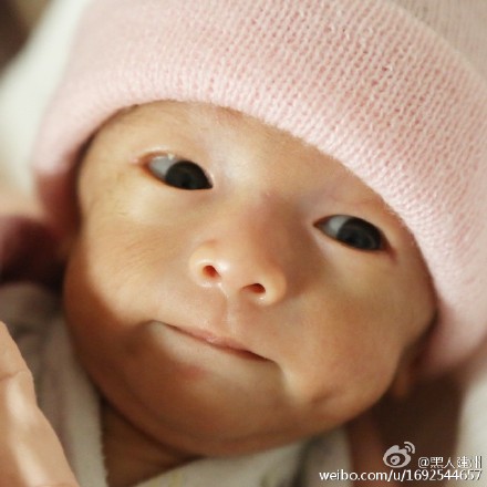 �������Ϲ�ɹ���������գ����ѳ��������裨ͼ��