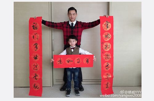 杨威拿春联出镜杨阳洋拿“横批”造型呆萌(图)