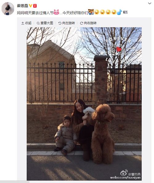 ��˼��������������ˣ���Ͱ�Ȯ������ͼ��