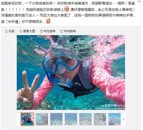 点图查看下一页