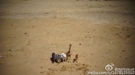 ��ٳɹ5ֻ�����Ӱ���ѣ����ǻ��ϵ���̥����ͼ��