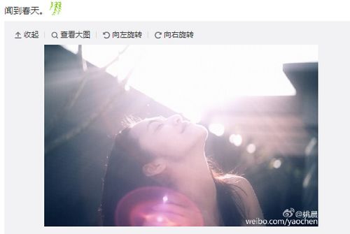 姚晨晒美照称“闻到春天”(图)