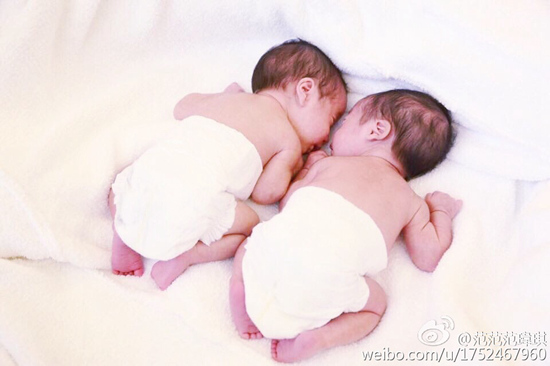 范玮琪晒双胞胎儿子近照称两人“趴趴熊猫”(图)