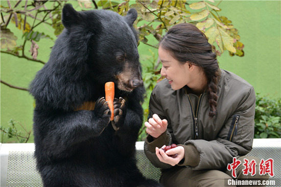 点图查看下一页